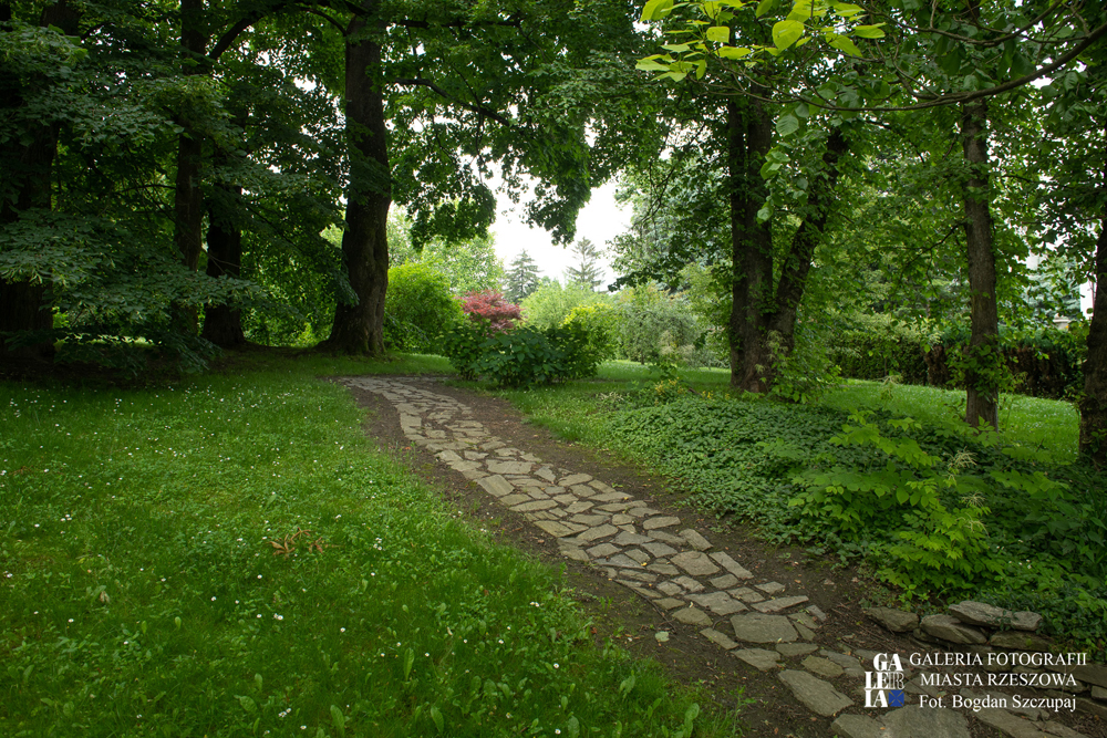 Zrewitalizowany park na os. Miłocin